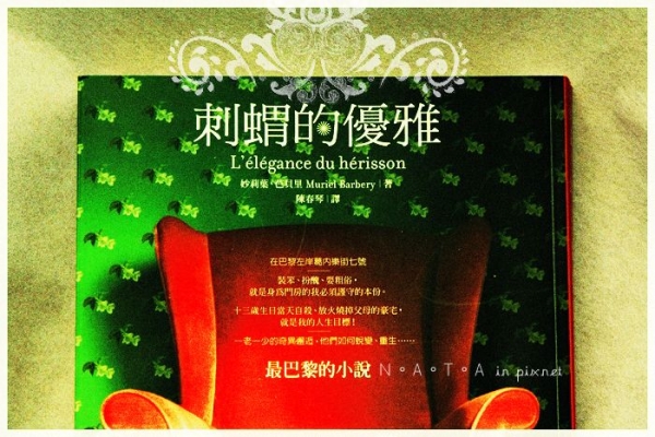 從《刺蝟的優雅》發現值得瞭解的人生角度