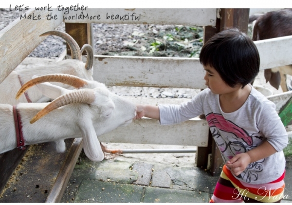 宜蘭幸福20號農場‧親子餵羊、認識小動物的體驗園地