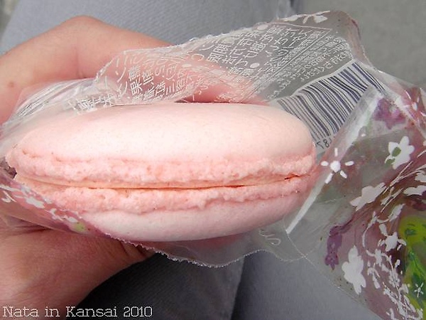 Starbucks‧櫻花馬卡龍(Sakura Macaron)~粉紅女孩的最愛
