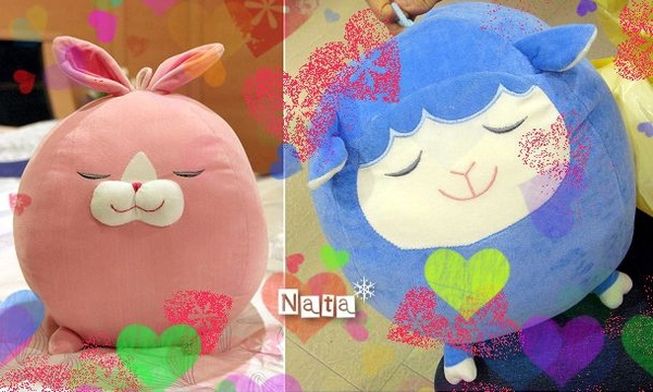 兔兔住進我家‧幸福日光下的溫暖