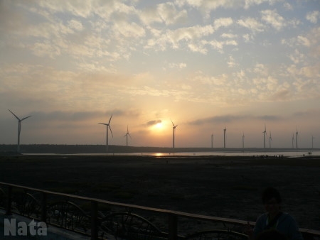 08'11/22高美濕地+中港烤魷魚