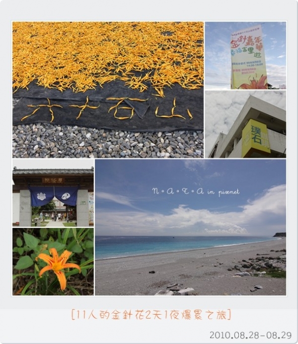 2010‧花蓮金針花2天1夜瘋狂之旅