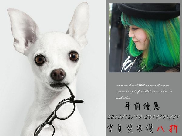 (優惠) Ecouter Hair會員年前獨享燙染護八折優惠+頭髮保養品搶便宜加購