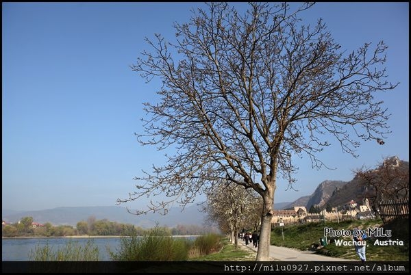 (奧地利) 一窺藍色多瑙河 wachau(瓦豪)河谷的科亞赫倫修道院