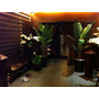 【奧麗薇愛SPA】第一次來到『自然美』生活SPA館，讓我見識到完全沒體驗過的峇里島五星級體驗，大開眼界啦！